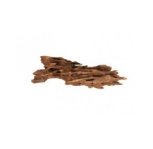 Scalare Racine Shrimp Wood 15 à 25cm 1p