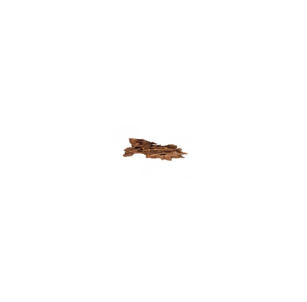 Scalare Racine Shrimp Wood 15 à 25cm 1p