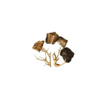 Scalare Roches et racines WOOD FOSSIL (4/6pc - 2pc)