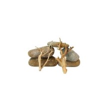 Scalare Roches et racines BROOK ROCK (4/6pc - 2pc)