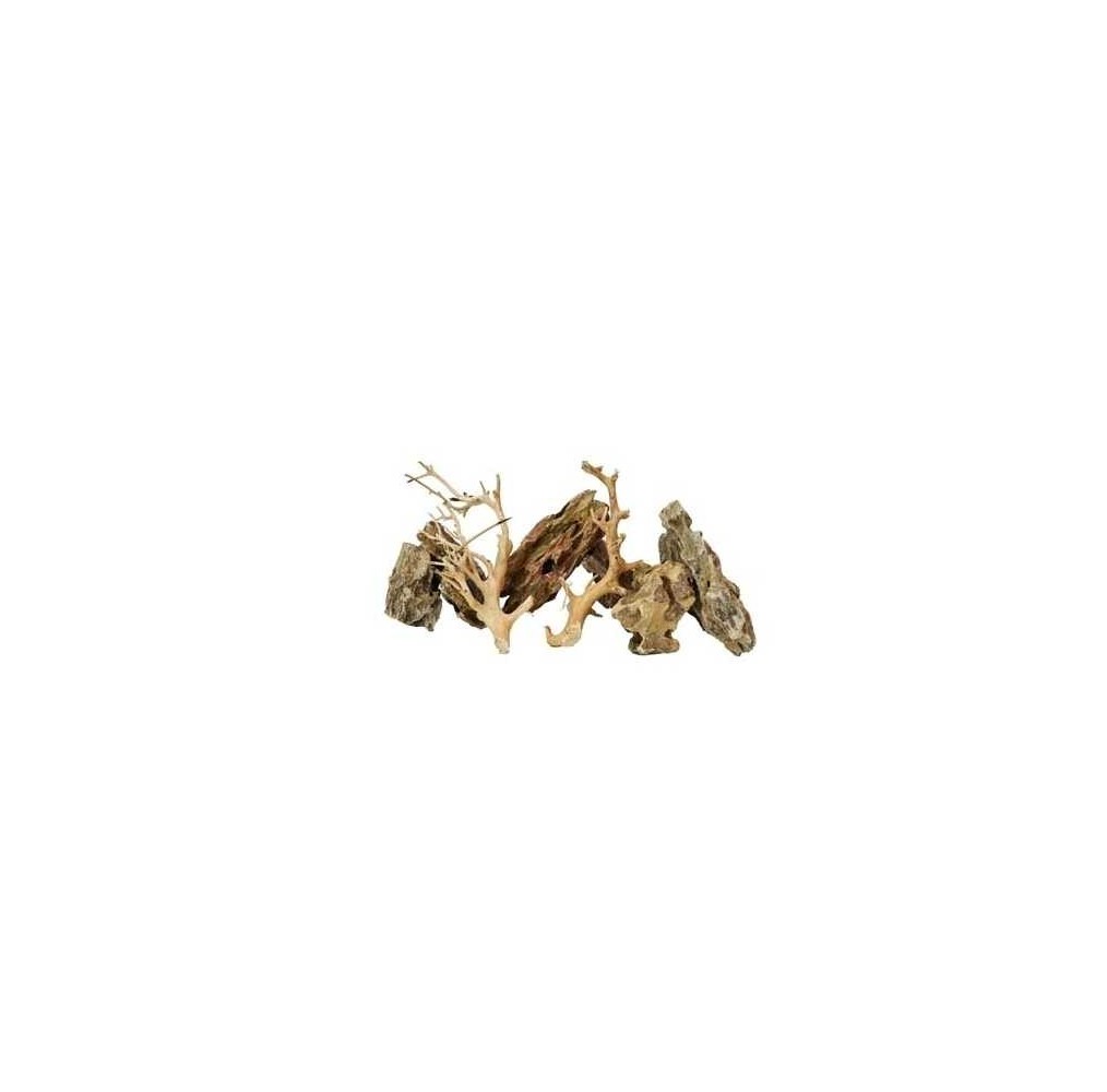 Scalare Roches et racines ALVEOLATE ROCK (4/6pc - 2pc)