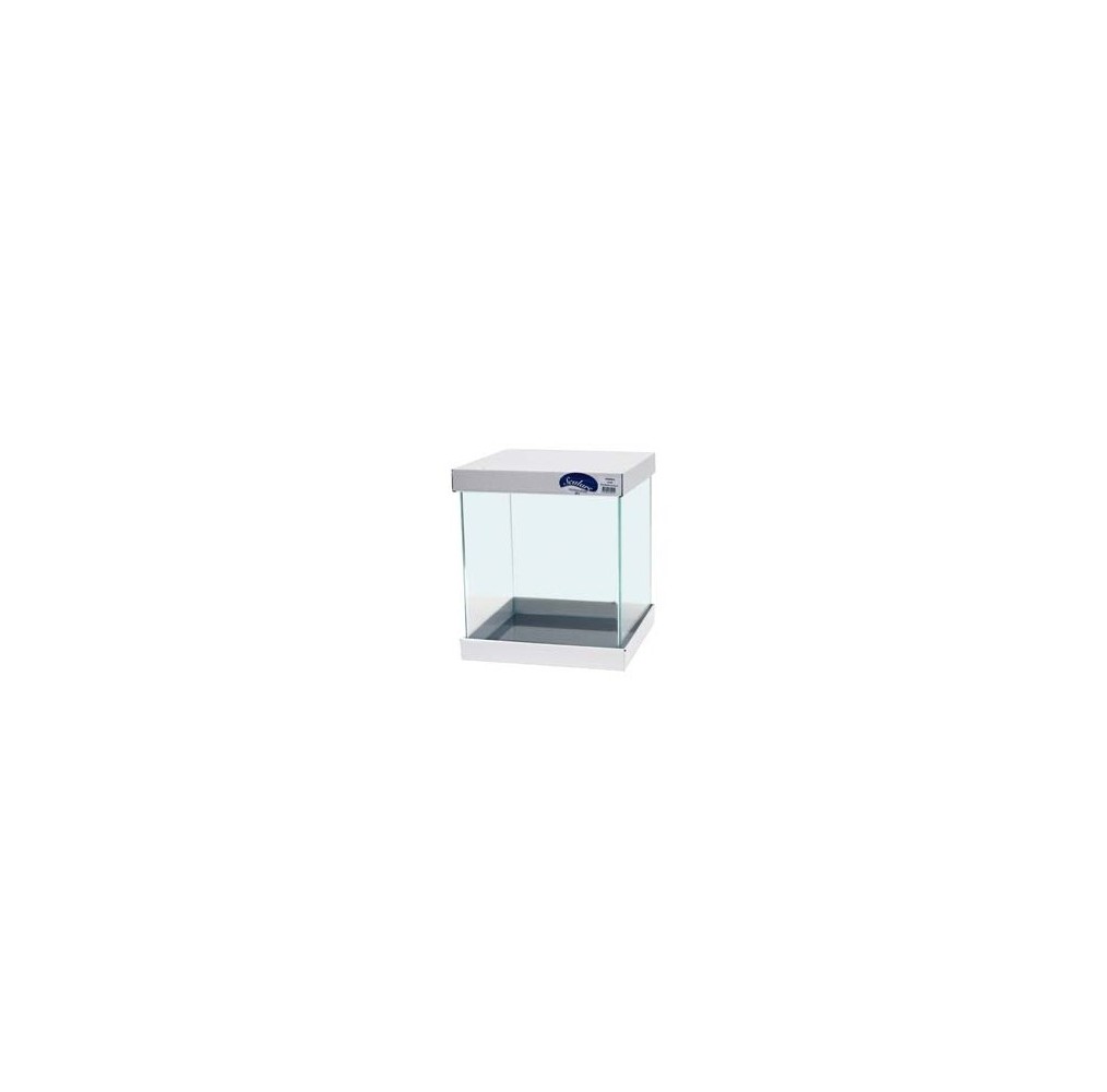 SCALARE Cuve Ultra Clear bords incurvés 40 x 40 x 40 cm 64 L