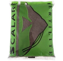 Scalare Fertilité 3