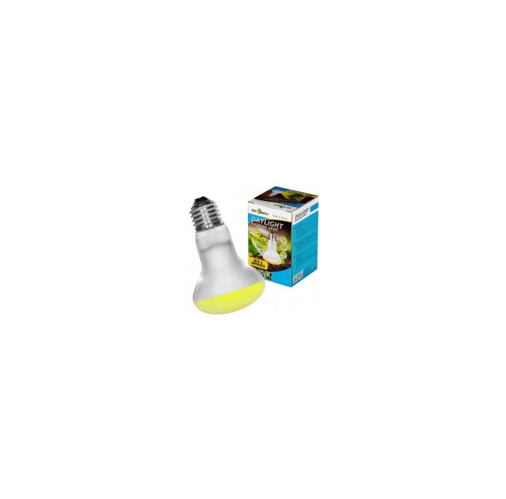 ReptiZoo Lampe Basking Spot Daylight 50 W Neodymium