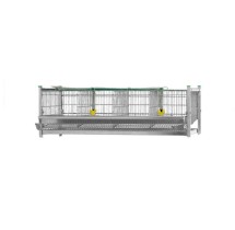 Cage d'Agrandissement pour Élevage de Cailles en 4 tailles | GAUN