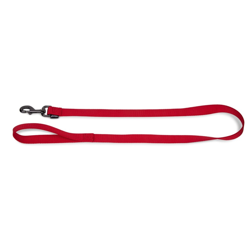 Laisse chien Classic Nylon rouge 120 cm × 10 mm S | Vadigran