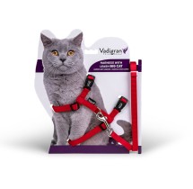 Ensemble harnais et laisse pour grand chat rouge 34/57 cm+120c | Vadig