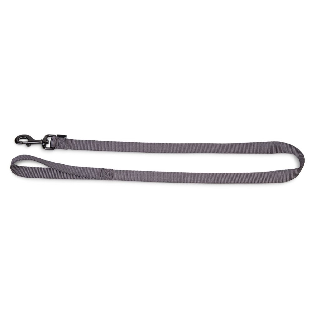 Laisse chien Classic Nylon taupe 120 cm × 25 mm XL | Vadigran