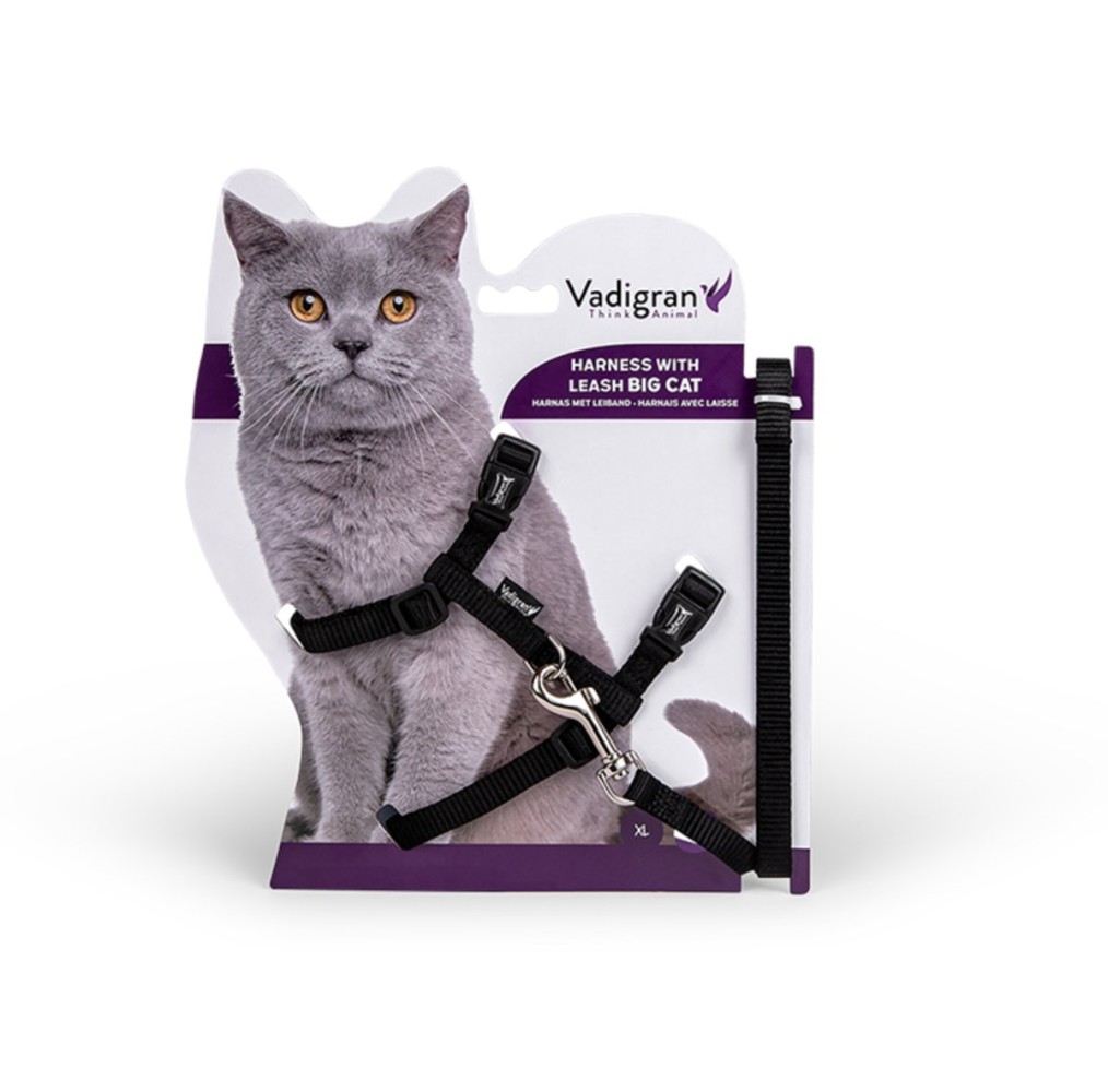 Ensemble harnais et laisse pour grand chat noir 34/57 cm+120 cm | Vadi