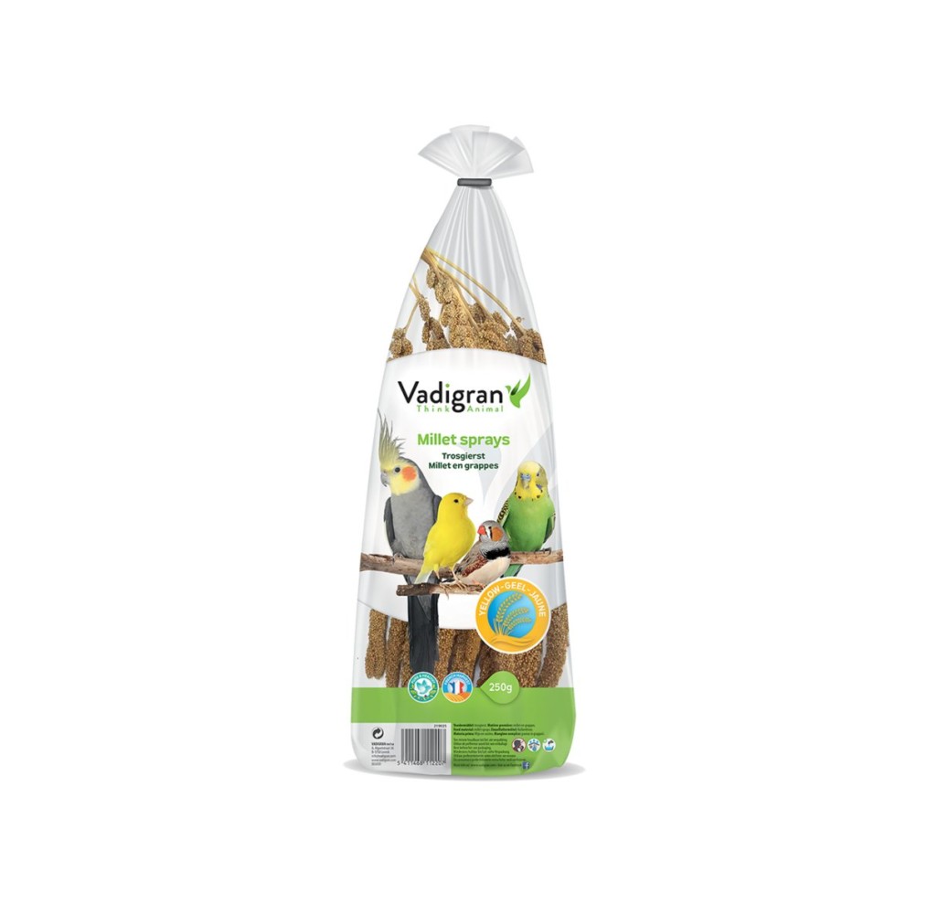 Millet francais en grappes jaunes 250 g | Vadigran