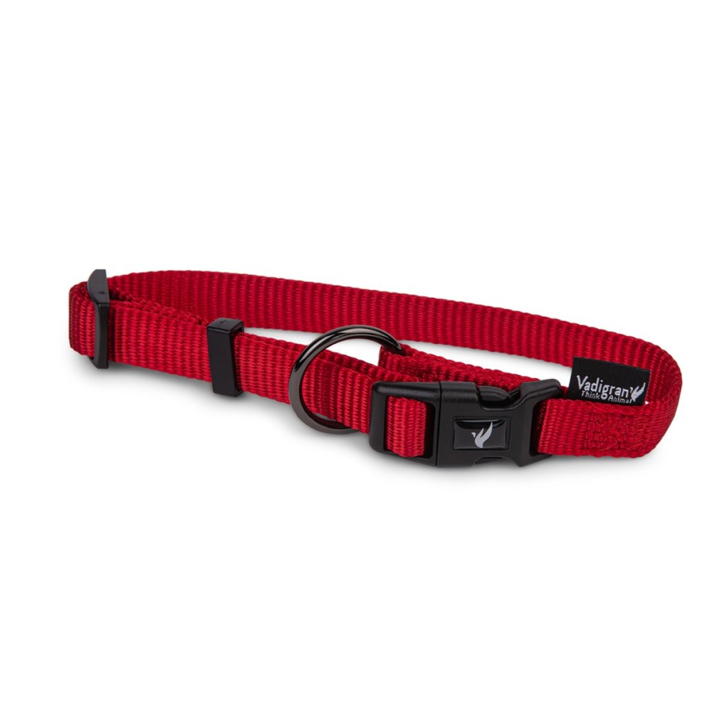 Collier chien Classic Nylon rouge 25-40 cm × 15 mm S-M | Vadigran