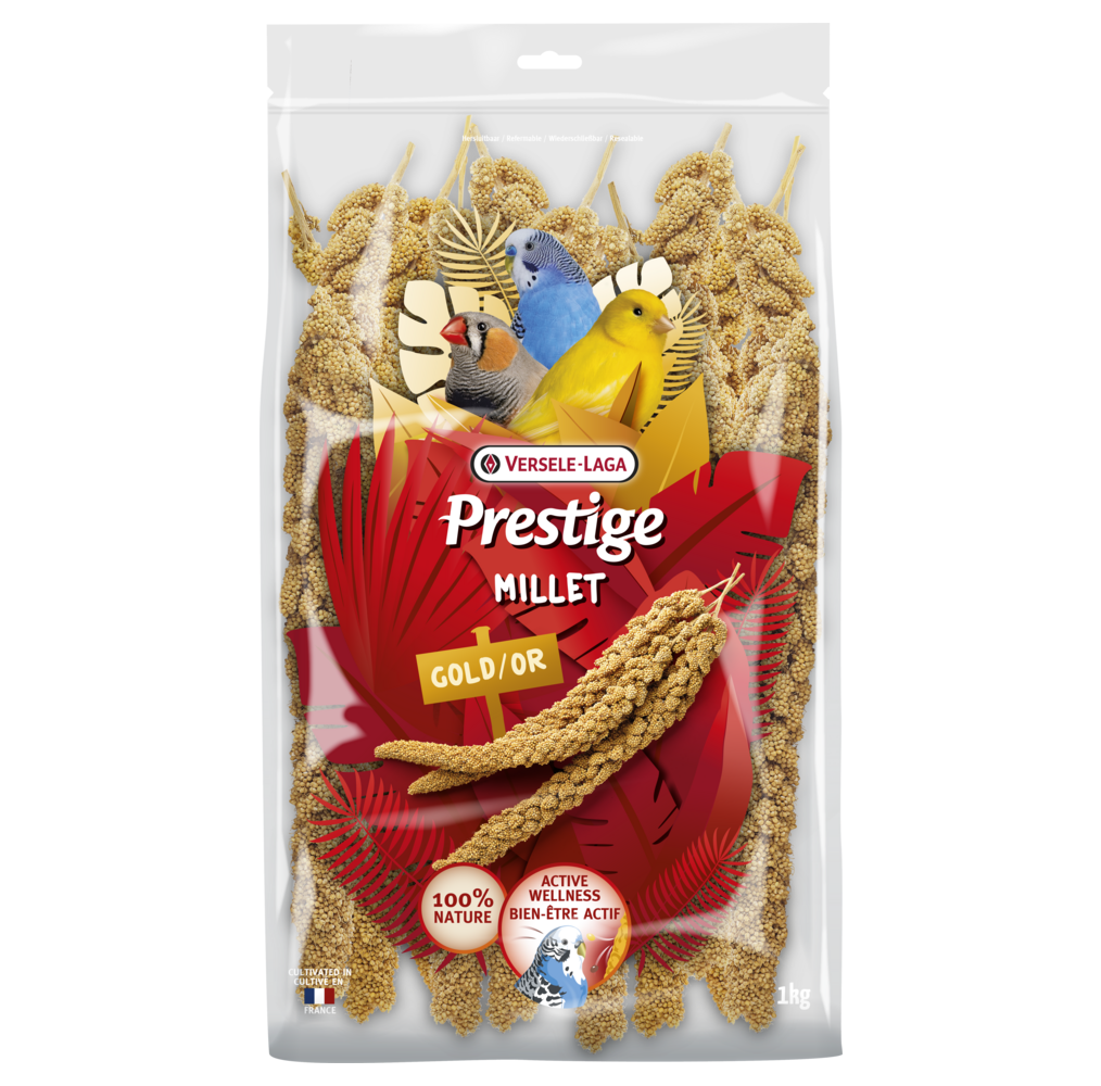 Prestige Millet jaune en grappes – 1 kg
