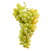Vigne Muscat d’Alexandrie – raisin blanc | AgriArtisan