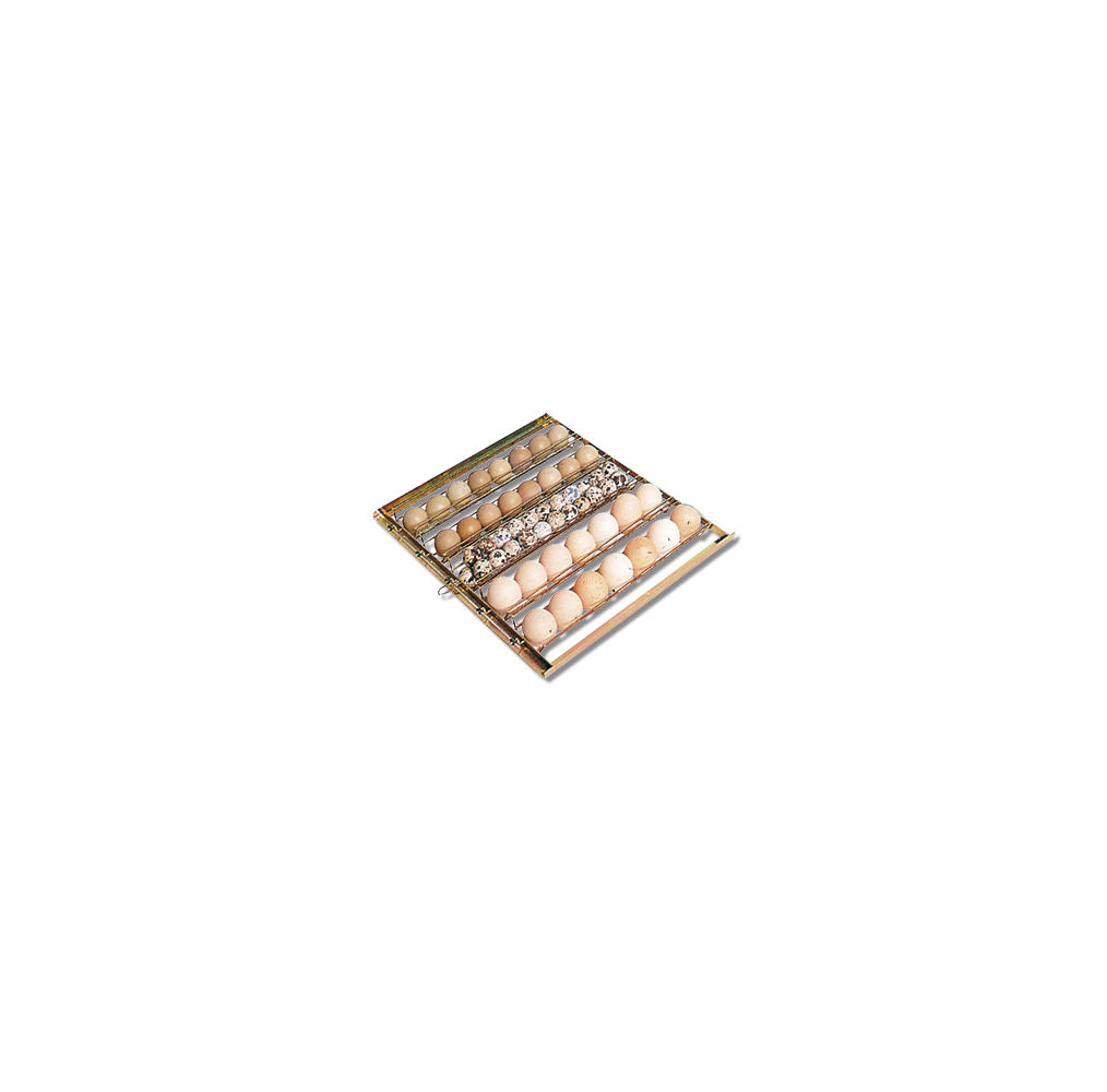 Plateau universel œufs de poule FIEM