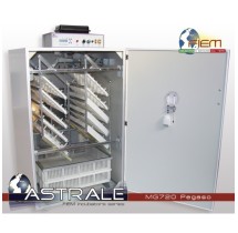 Couveuse MG 720 Pegaso SH  EVO PLUS| AGRIARTISANT
