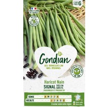 Haricot Signal Gondian – Gousses longues & rendement élevé, sachet 0,22 kg