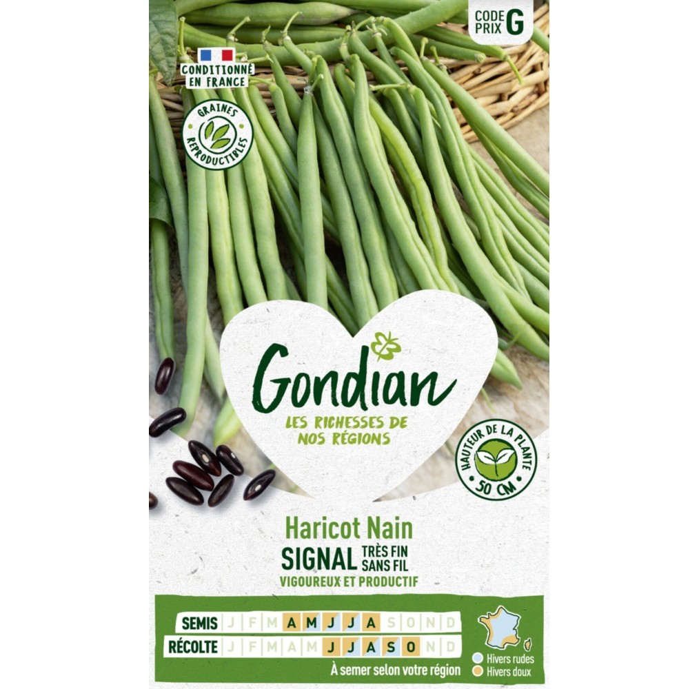 Haricot Signal Gondian – Gousses longues & rendement élevé, sachet 0,22 kg