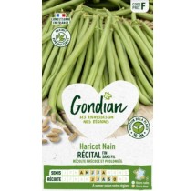 Haricot Récital Gondian – Haricot mangetout précoce, sachet 220 g