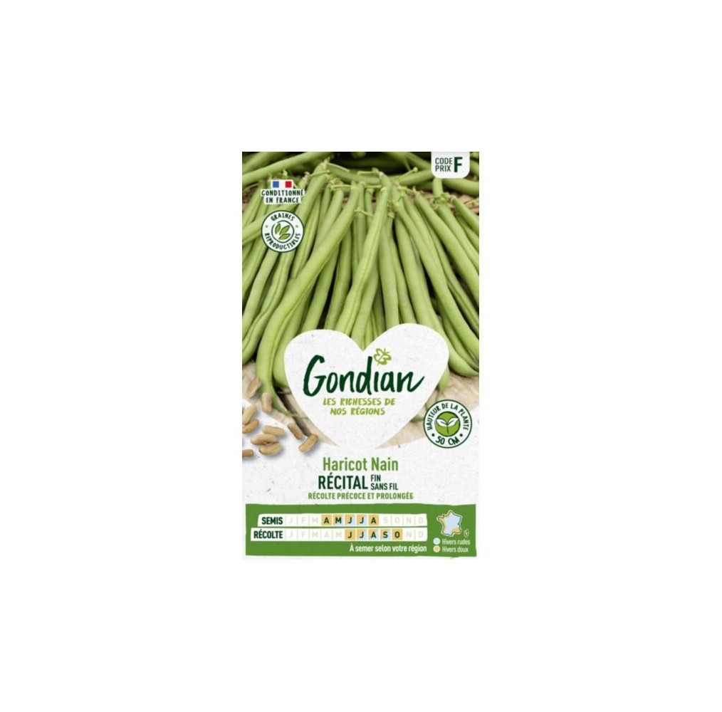 Haricot Récital Gondian – Haricot mangetout précoce, sachet 220 g
