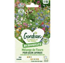 Mélange fleurs gazon japonais Gondian pour 2 m²
