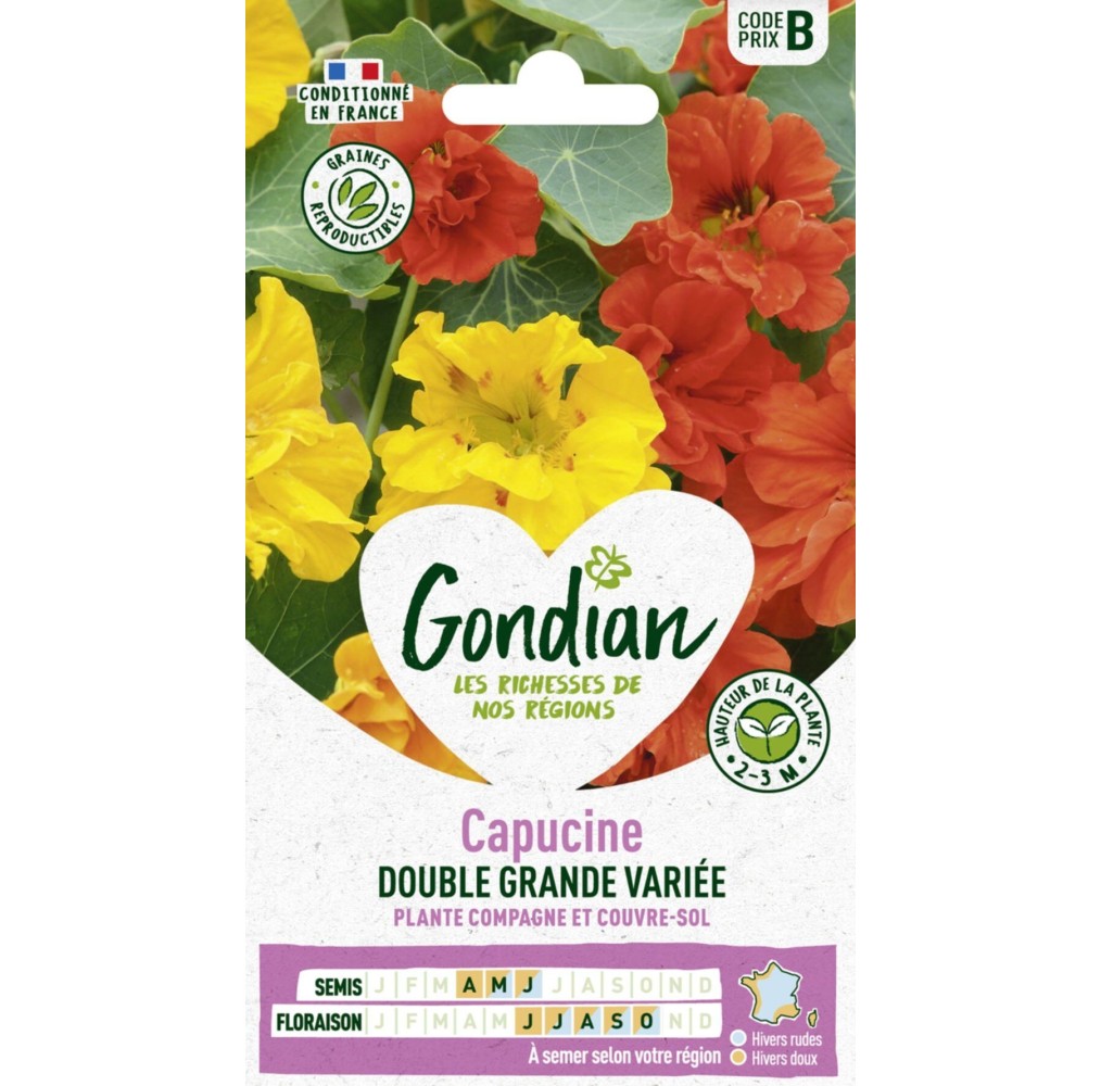 Capucine Grande Variée – Gondian | Fleurs grimpantes multicolores | Sachet Série B