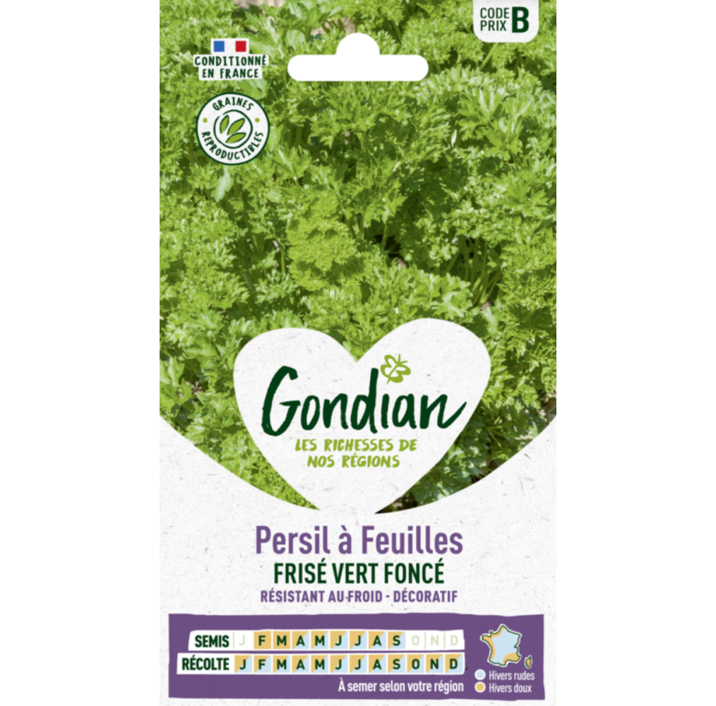Persil frisé vert foncé Gondian – graines