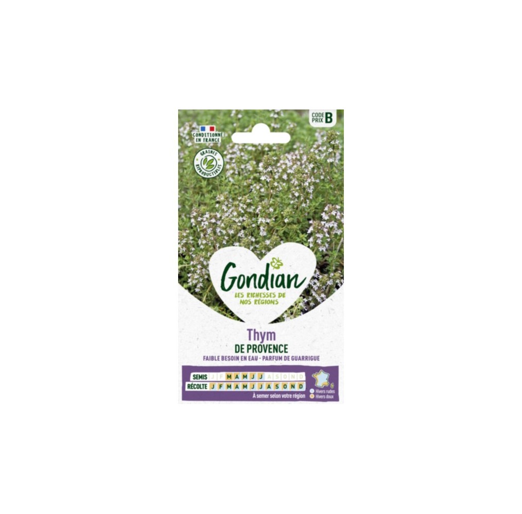 Thym de Provence – Graines aromatiques Gondian