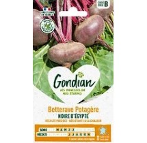 Betterave d’Égypte Noire Plate – Graines Gondian