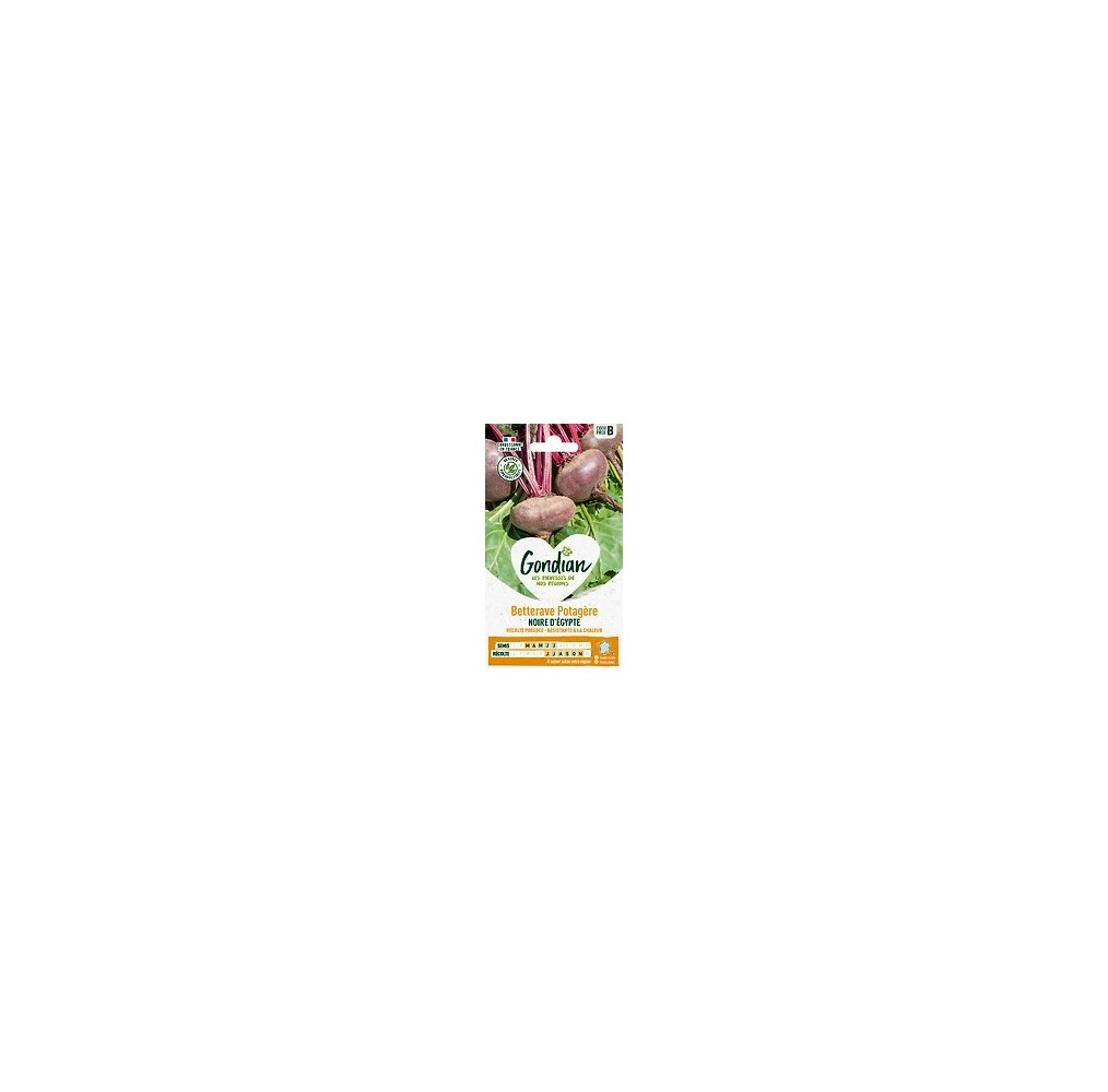 Betterave d’Égypte noire plate Gondian – graines