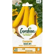 Courgette Soleil F1 – Graines Gondian