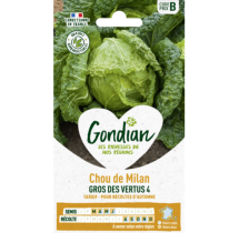 Chou Milan Gros Vertus 4 – Graines Gondian