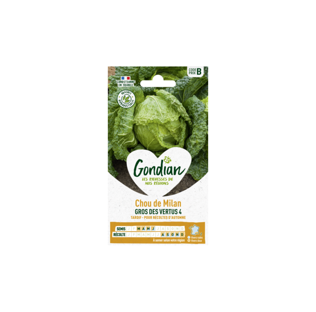 Chou Milan Gros des Vertus 4 Gondian – graines