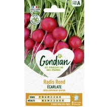 Radis Forcer Rond Écarlate – Graines Gondian