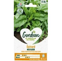Épinard Matador Gondian – graines potagères