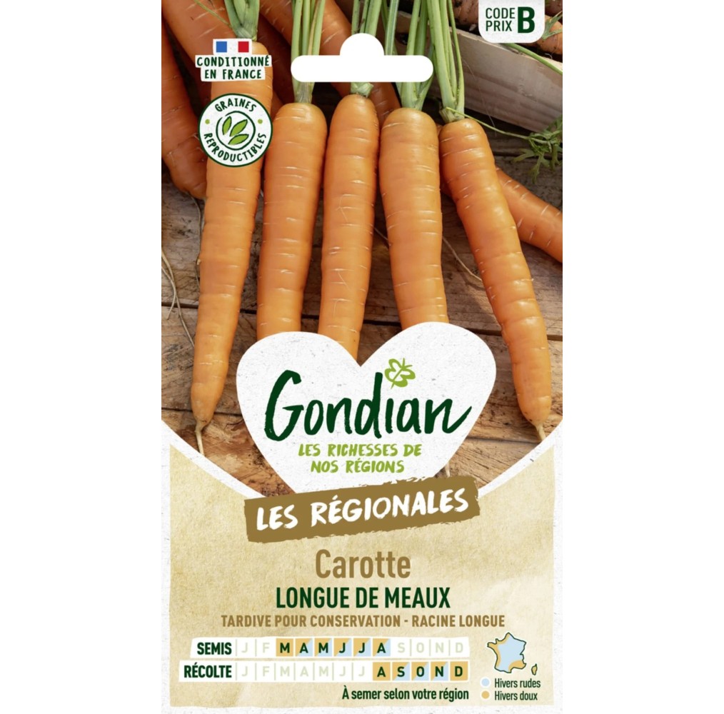 Carotte potagère de Meaux Gondian – graines
