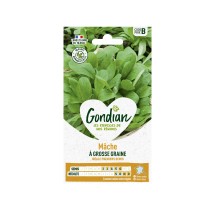Mâche à Grosse Graine – Graines Gondian