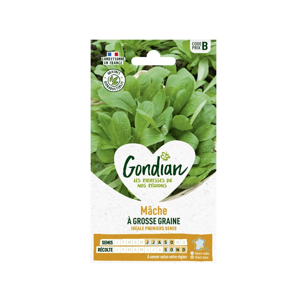 Mâche à Grosse Graine – Graines Gondian