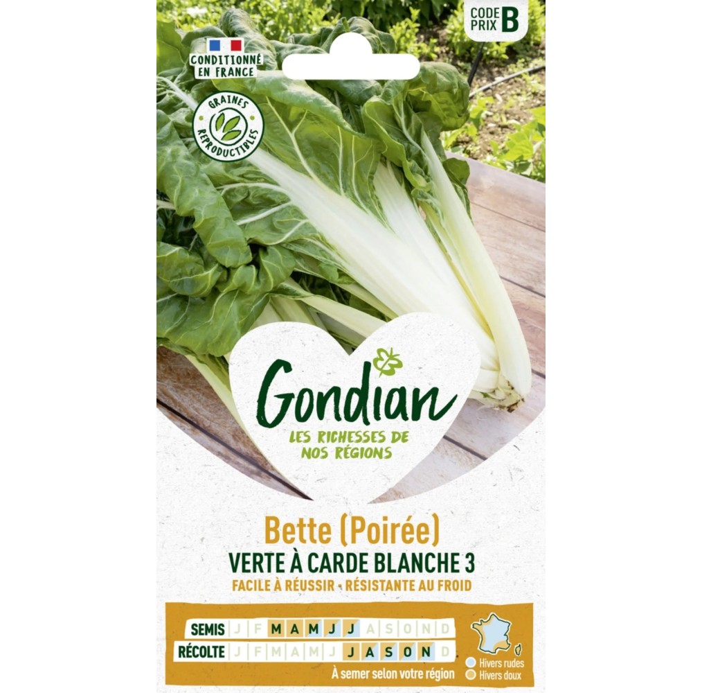 Poirée Verte Carde Blanche 3 – Graines Gondian