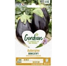 Aubergine Bonica F1 Gondian – graines