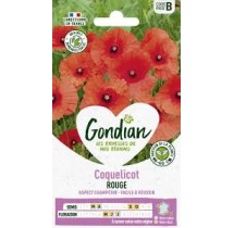 Coquelicot rouge Gondian – graines de fleurs