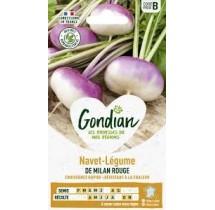 Navet de Milan rouge Gondian – graines