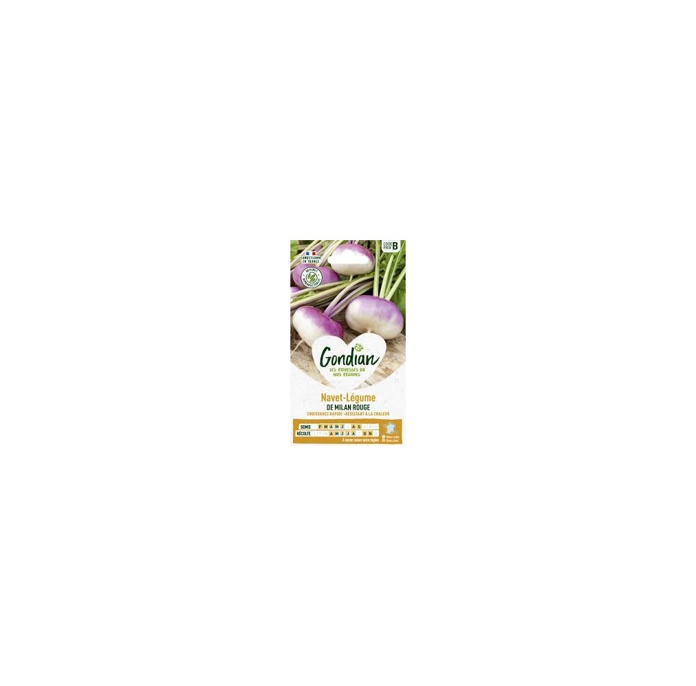 Navet de Milan rouge Gondian – graines