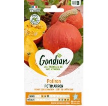 Potimarron Gondian – graines potagères