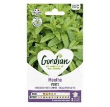 Menthe Verte – Graines Gondian