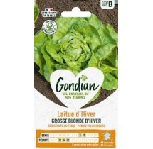 Laitue Blonde d’Hiver Gondian – graines