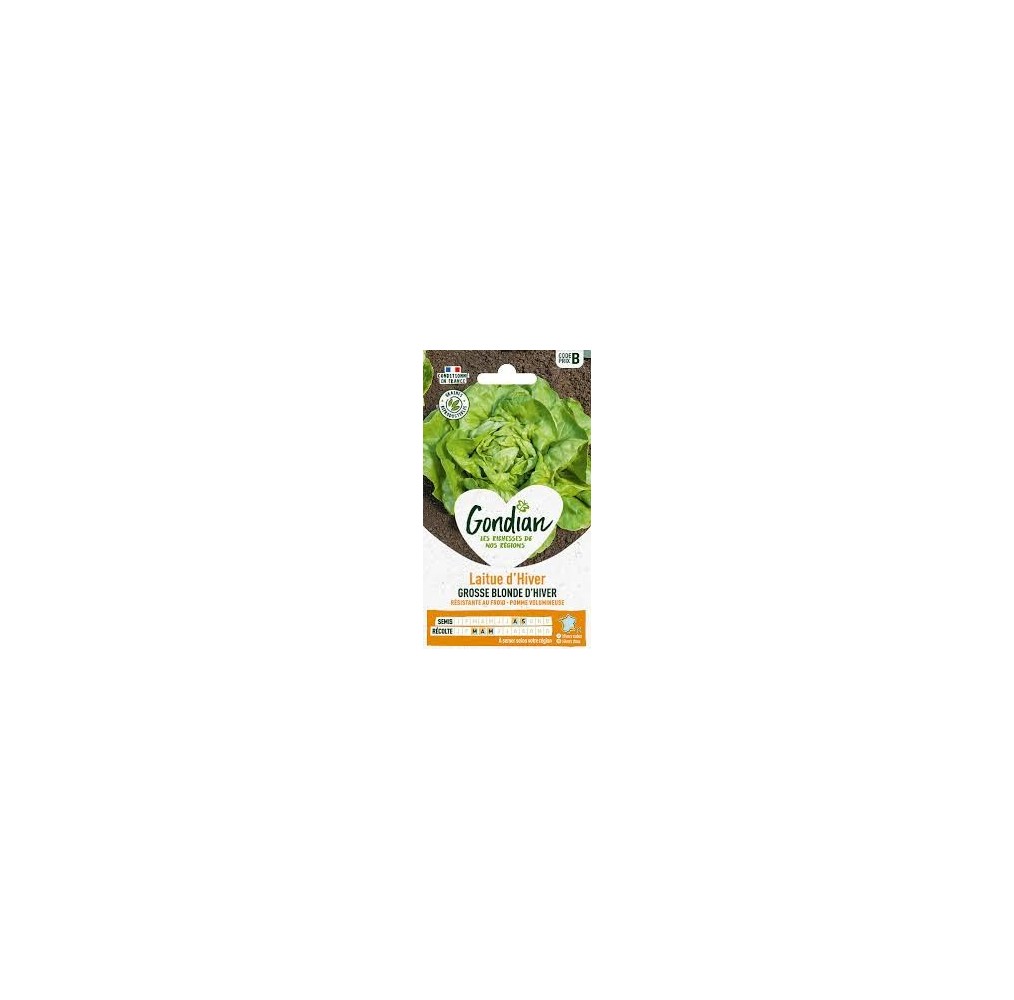Laitue Blonde d’Hiver Gondian – graines