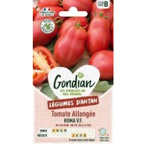 Tomate Roma VF – Graines Gondian