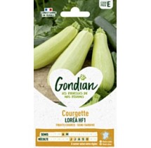 Courgette Lorea F1 – Graines Gondian