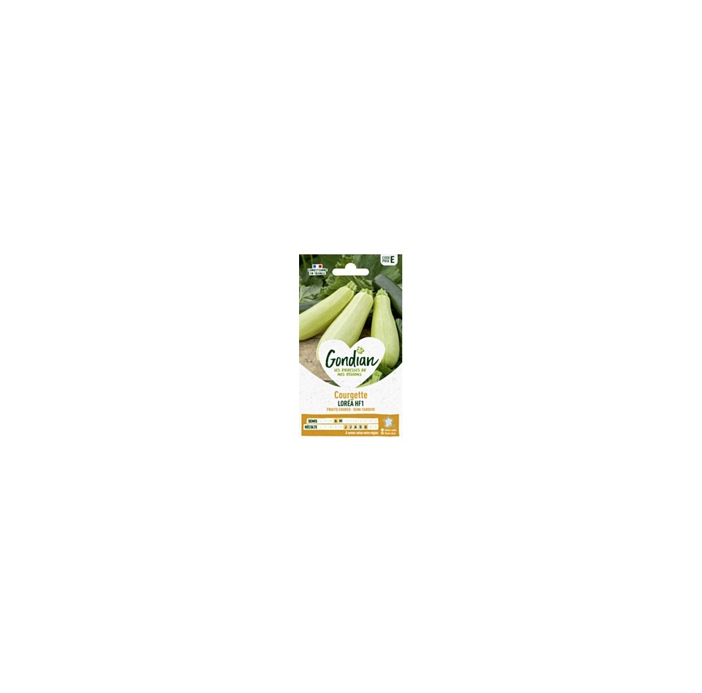 Courgette Lorea F1 Gondian – graines