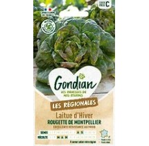 Laitue Rougette de Montpellier – Graines Gondian